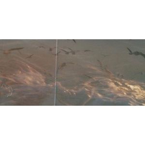 Meet your Posher, Alana